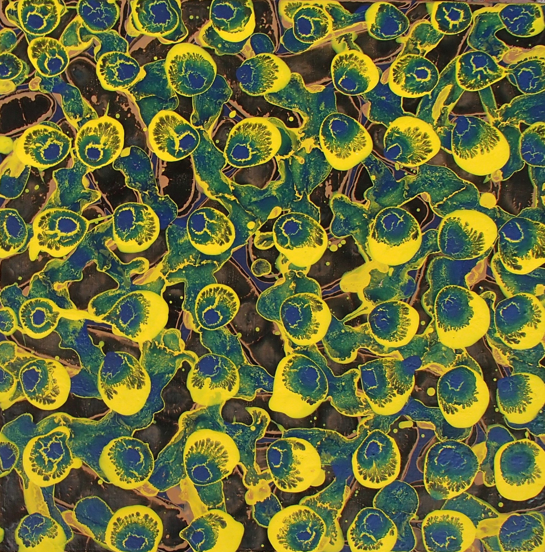 30 cm x 30 cm terre de sienne noir jaune bleu 2 jpg