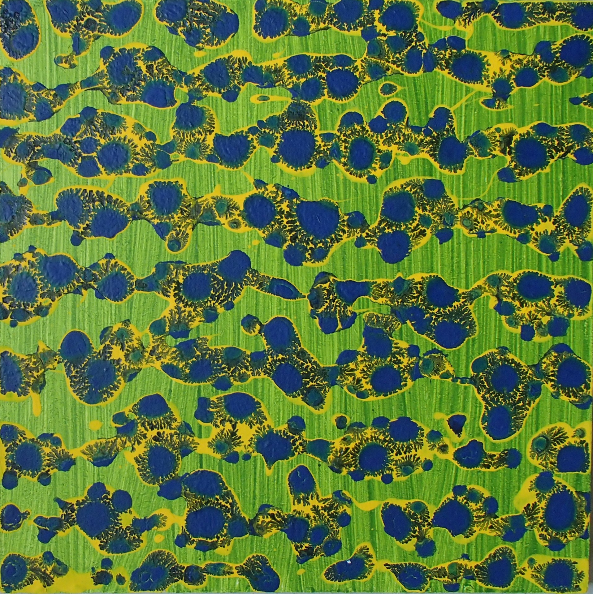 30 cm x 30 cm vert jaune bleu