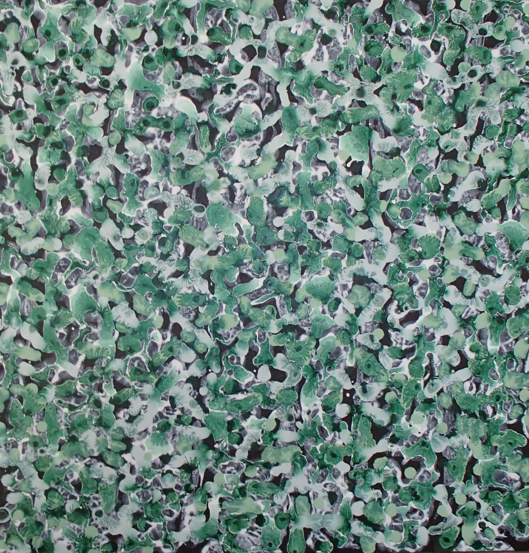 60 cm x 60 cm noir blanc vert